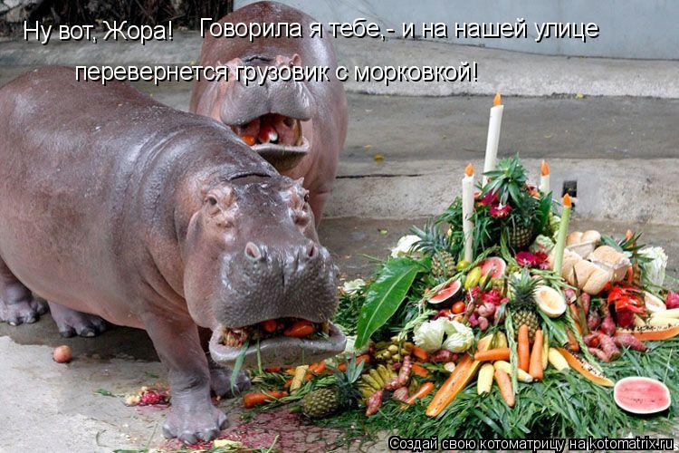 Ну вот, Жора! Говорила я тебе,- и на нашей улице перевернется грузовик с морковкой!... Котоматрица: Ну вот, Жора! Говорила я тебе,- и на нашей улице перевернется грузовик с морковкой!