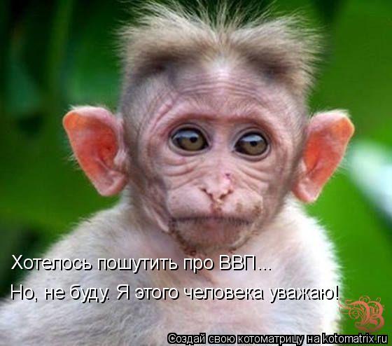 Хотелось пошутить про ВВП... Но, не буду. Я этого человека уважаю!... Котоматрица: Хотелось пошутить про ВВП... Но, не буду. Я этого человека уважаю!