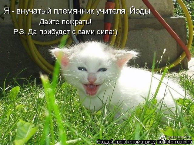 Дайте пожрать! P.S. Да прибудет с вами сила:) Я - внучатый племянник учителя Йоды... Котоматрица: Дайте пожрать! P.S. Да прибудет с вами сила:) Я - внучатый племянник учителя Йоды