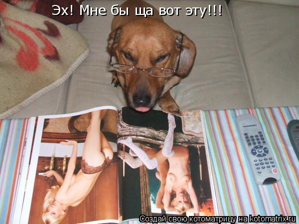 Котоматрица: Эх! Мне бы ща вот эту!!!
