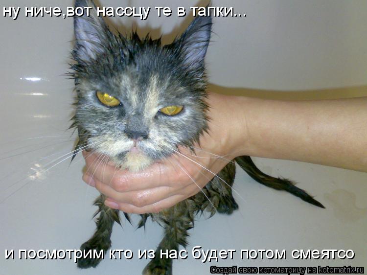 ну ниче,вот нассцу те в тапки... и посмотрим кто из нас будет потом смеятсо... Котоматрица: ну ниче,вот нассцу те в тапки... и посмотрим кто из нас будет потом смеятсо
