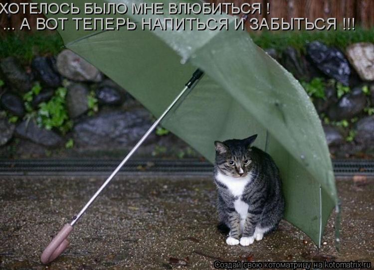 ХОТЕЛОСЬ БЫЛО МНЕ ВЛЮБИТЬСЯ ! ... А ВОТ ТЕПЕРЬ НАПИТЬСЯ И ЗАБЫТЬСЯ !!!... Котоматрица: ХОТЕЛОСЬ БЫЛО МНЕ ВЛЮБИТЬСЯ ! ... А ВОТ ТЕПЕРЬ НАПИТЬСЯ И ЗАБЫТЬСЯ !!!