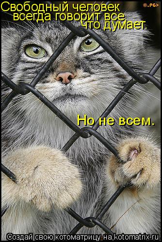 Свободный человек всегда говорит все, что думает. Но не всем.... Котоматрица: Свободный человек всегда говорит все, что думает. Но не всем.