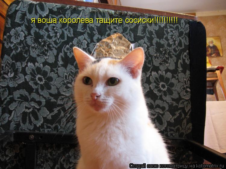 я воша королева тащите сосиски!!!!!!!!!!... Котоматрица: я воша королева тащите сосиски!!!!!!!!!!