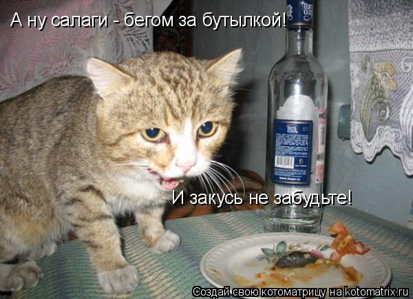 А ну салаги - бегом за бутылкой! И закусь не забудьте!... Котоматрица: А ну салаги - бегом за бутылкой! И закусь не забудьте!