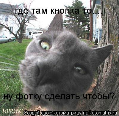 где там кнопка то.... ну фотку сделать чтобы?... Котоматрица: где там кнопка то.... ну фотку сделать чтобы?