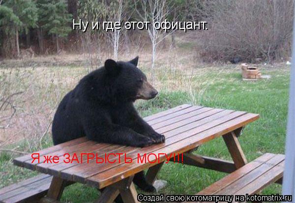 Ну и где этот офицант. Я же ЗАГРЫСТЬ МОГУ!!!... Котоматрица: Ну и где этот офицант. Я же ЗАГРЫСТЬ МОГУ!!!