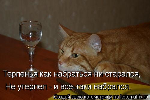 Терпенья как набраться ни старался, Не утерпел - и все-таки набрался.... Котоматрица: Терпенья как набраться ни старался, Не утерпел - и все-таки набрался.