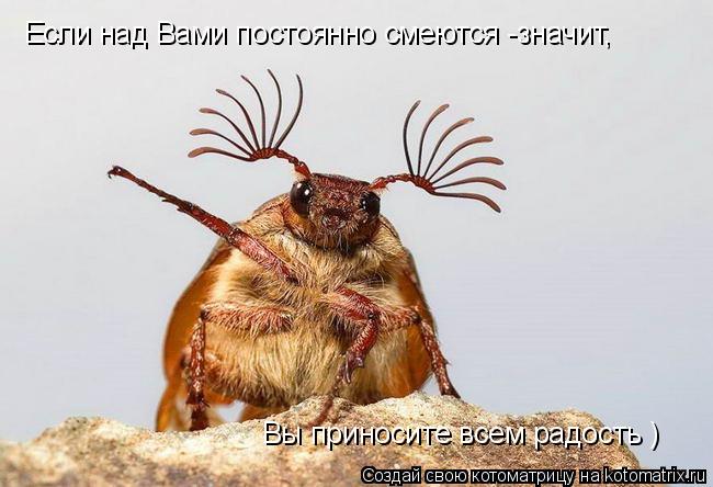 Если над Вами постоянно смеются -значит, Вы приносите всем радость )... Котоматрица: Если над Вами постоянно смеются -значит, Вы приносите всем радость )