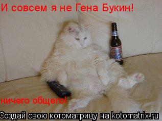 И совсем я не Гена Букин! ничего общего!... Котоматрица: И совсем я не Гена Букин! ничего общего!