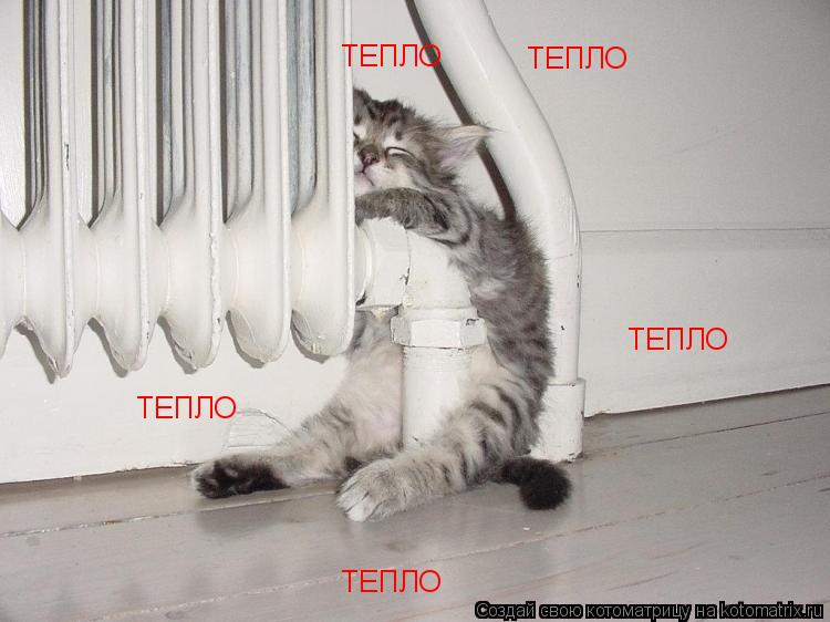 ТЕПЛО ТЕПЛО ТЕПЛО ТЕПЛО ТЕПЛО... Котоматрица: ТЕПЛО ТЕПЛО ТЕПЛО ТЕПЛО ТЕПЛО