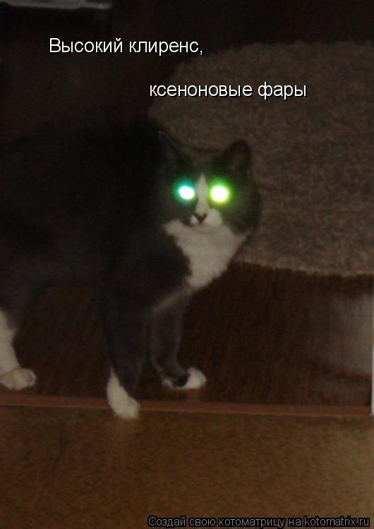 Высокий клиренс, ксеноновые фары... Котоматрица: Высокий клиренс, ксеноновые фары