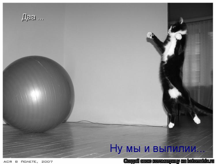 Даа ... Ну мы и выпилии...... Котоматрица: Даа ... Ну мы и выпилии...