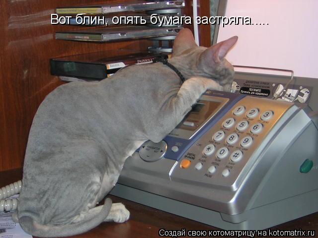 Вот блин, опять бумага застряла........ Котоматрица: Вот блин, опять бумага застряла.....