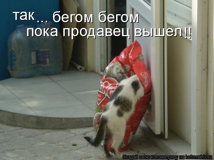 пока продавец вышел !! так ... бегом бегом... Котоматрица: пока продавец вышел !! так ... бегом бегом