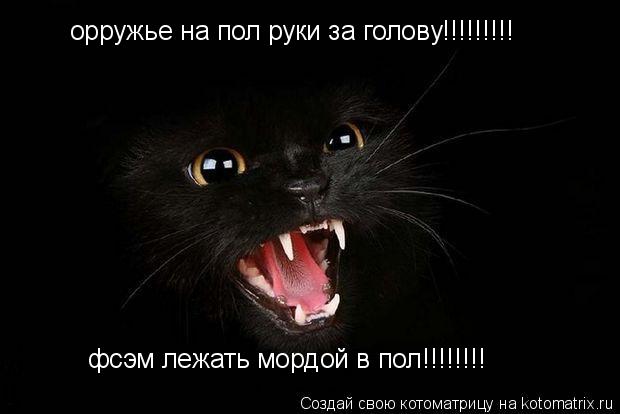 орружье на пол руки за голову!!!!!!!!! фсэм лежать мордой в пол!!!!!!!!... Котоматрица: орружье на пол руки за голову!!!!!!!!! фсэм лежать мордой в пол!!!!!!!!