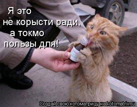 не корысти ради, а токмо пользы для! Я это... Котоматрица: не корысти ради, а токмо пользы для! Я это