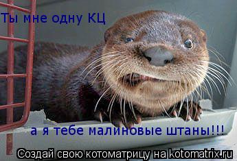а я тебе малиновые штаны!!! Ты мне одну КЦ... Котоматрица: а я тебе малиновые штаны!!! Ты мне одну КЦ