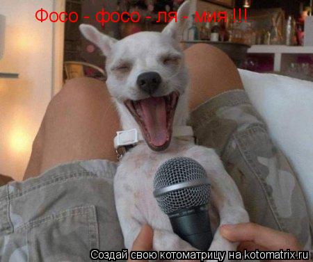 Фосо - фосо - ля - мия !!!... Котоматрица: Фосо - фосо - ля - мия !!!