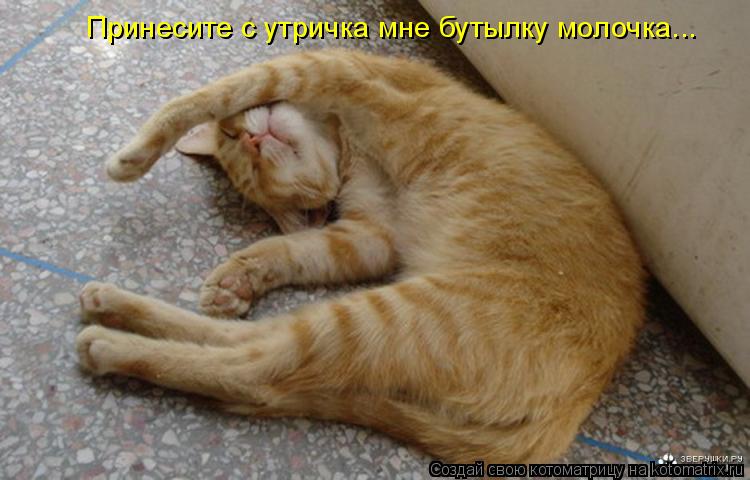Принесите с утричка мне бутылку молочка...... Котоматрица: Принесите с утричка мне бутылку молочка...