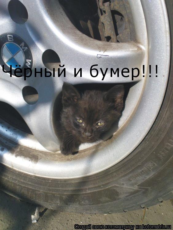Чёрный и бумер!!!... Котоматрица: Чёрный и бумер!!!