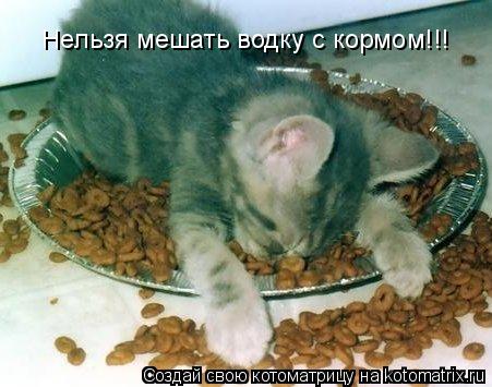 Нельзя мешать водку с кормом!!!... Котоматрица: Нельзя мешать водку с кормом!!!