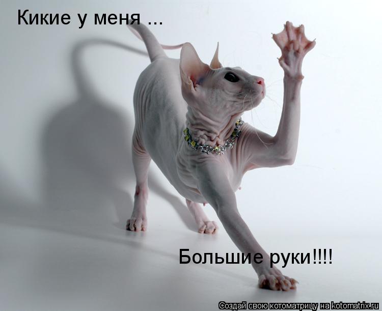 Кикие у меня ... Большие руки!!!!... Котоматрица: Кикие у меня ... Большие руки!!!!