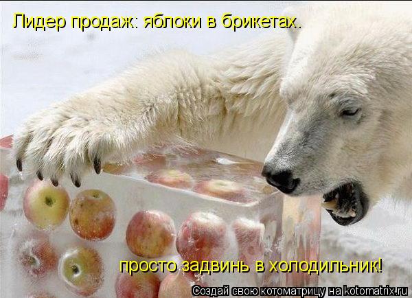 Лидер продаж: яблоки в брикетах. просто задвинь в холодильник!... Котоматрица: Лидер продаж: яблоки в брикетах. просто задвинь в холодильник!