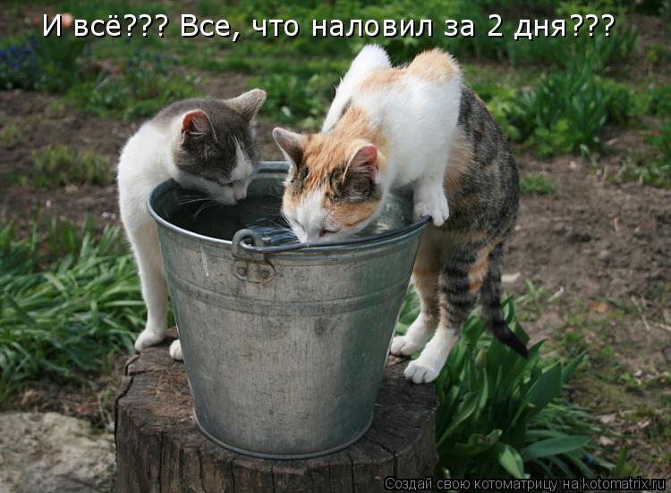 И всё??? Все, что наловил за 2 дня???... Котоматрица: И всё??? Все, что наловил за 2 дня???