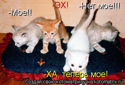 -Мое!! -Нет мое!!! -ХА, теперь мое! -ЭХ!... Котоматрица: -Мое!! -Нет мое!!! -ХА, теперь мое! -ЭХ!