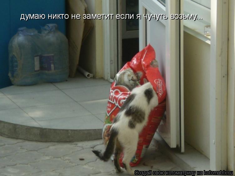 думаю никто не заметит если я чучуть возьму...... Котоматрица: думаю никто не заметит если я чучуть возьму...