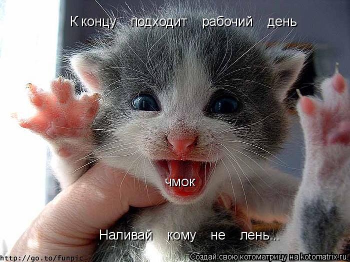 К концу подходит рабочий день ЧМОК Наливай кому не лень...... Котоматрица: К концу подходит рабочий день ЧМОК Наливай кому не лень...