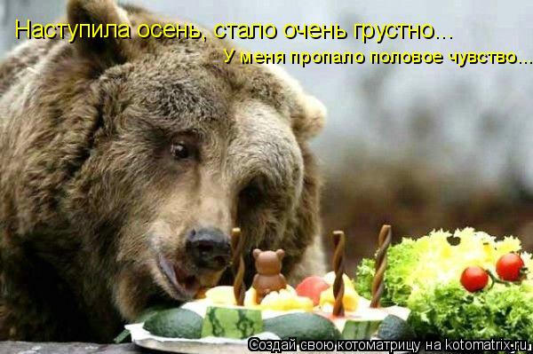 Наступила осень, стало очень грустно... У меня пропало половое чувство....... Котоматрица: Наступила осень, стало очень грустно... У меня пропало половое чувство....