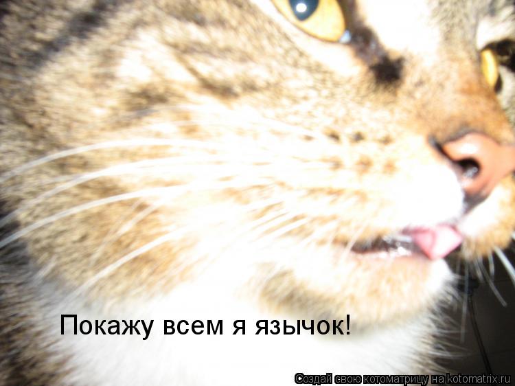 Покажу всем я язычок!... Котоматрица: Покажу всем я язычок!