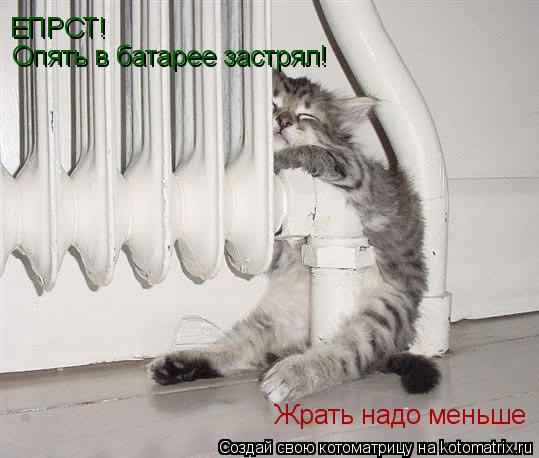 ЕПРСТ! Опять в батарее застрял! Жрать надо меньше... Котоматрица: ЕПРСТ! Опять в батарее застрял! Жрать надо меньше