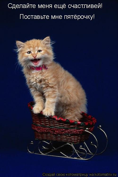 Котоматрица: Сделайте меня ещё счастливей! Поставьте мне пятёрочку!