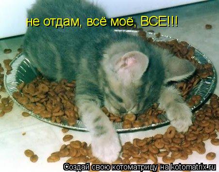 не отдам, всё моё, ВСЕ!!!... Котоматрица: не отдам, всё моё, ВСЕ!!!