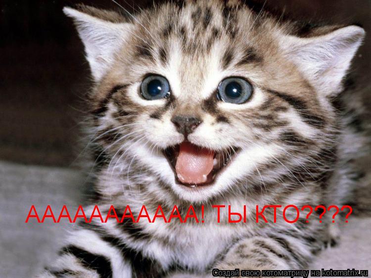 ААААААААААА! ТЫ КТО????... Котоматрица: ААААААААААА! ТЫ КТО????