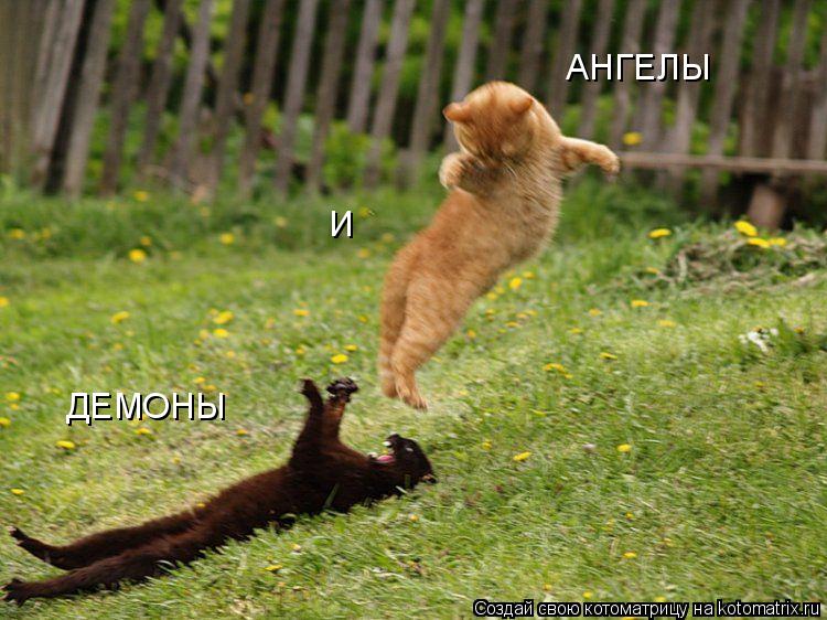 АНГЕЛЫ И ДЕМОНЫ... Котоматрица: АНГЕЛЫ И ДЕМОНЫ