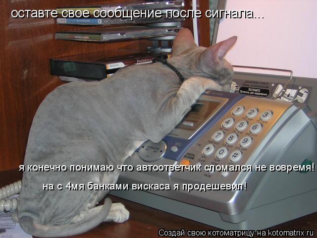 оставте свое сообщение после сигнала... я конечно понимаю что автоответчик сломался не вовремя! на с ... Котоматрица: оставте свое сообщение после сигнала... я конечно понимаю что автоответчик сломался не вовремя! на с 4мя банками вискаса я продешевил!