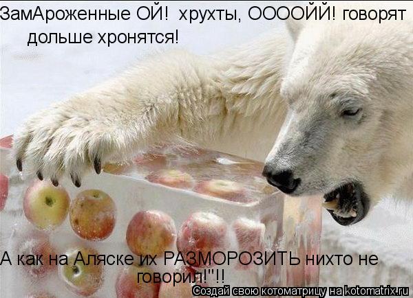 ЗамАроженные ОЙ! хрухты, ООООЙЙ! говорят дольше хронятся! А как на Аляске их РАЗМОРОЗИТЬ нихто не ... Котоматрица: ЗамАроженные ОЙ! хрухты, ООООЙЙ! говорят дольше хронятся! А как на Аляске их РАЗМОРОЗИТЬ нихто не говорил!"!!