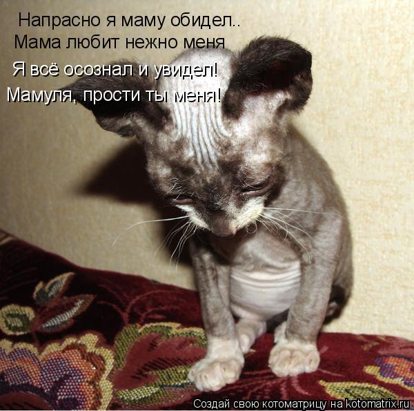 Напрасно я маму обидел.. Мама любит нежно меня Я всё осознал и увидел! Мамуля, прости ты меня!... Котоматрица: Напрасно я маму обидел.. Мама любит нежно меня Я всё осознал и увидел! Мамуля, прости ты меня!