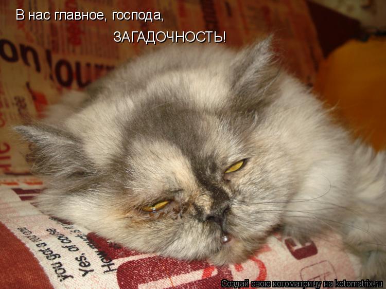 В нас главное, господа, ЗАГАДОЧНОСТЬ!... Котоматрица: В нас главное, господа, ЗАГАДОЧНОСТЬ!