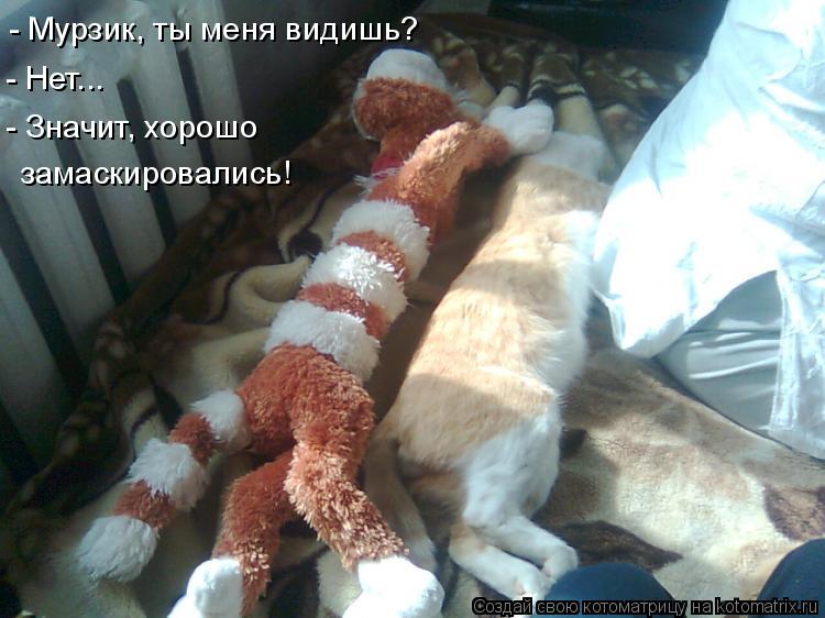 - Мурзик, ты меня видишь? - Нет... - Значит, хорошо замаскировались!... Котоматрица: - Мурзик, ты меня видишь? - Нет... - Значит, хорошо замаскировались!