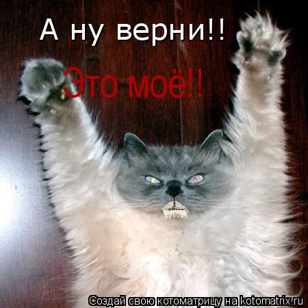 Котоматрица: А ну верни!! Это моё!!