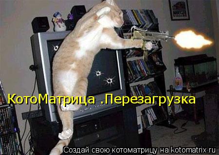 КотоМатрица .Перезагрузка... Котоматрица: КотоМатрица .Перезагрузка