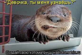 -"Девочка, ты меня узнаёшь?"... Котоматрица: -"Девочка, ты меня узнаёшь?"