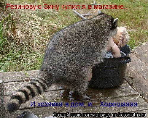 Резиновую Зину купил я в магазине.. И хозяйка в дом, и... Хорошаааа... Котоматрица: Резиновую Зину купил я в магазине.. И хозяйка в дом, и... Хорошаааа