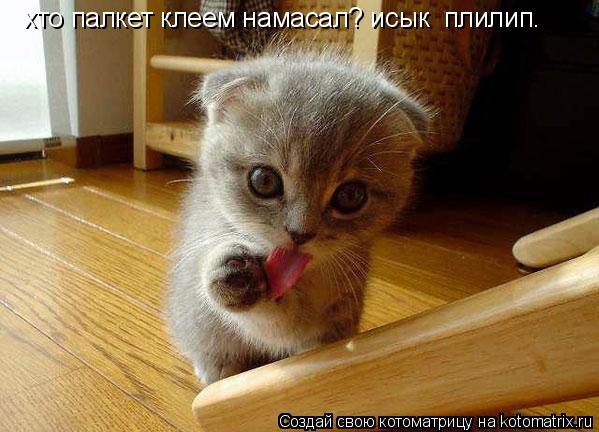хто палкет клеем намасал? исык плилип.... Котоматрица: хто палкет клеем намасал? исык плилип.