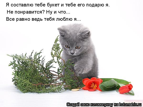 Я составлю тебе букет и тебе его подарю я. Не понравится? Ну и что... Все равно ведь тебя люблю я...... Котоматрица: Я составлю тебе букет и тебе его подарю я. Не понравится? Ну и что... Все равно ведь тебя люблю я...